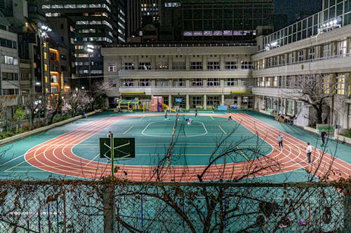 湖媒：东契奇重新登顶组织天赋指标排行榜